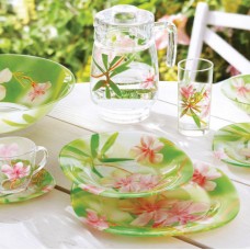 Сервіз столовий Luminarc Carina Freesia 45 предметів зелений (N6734)