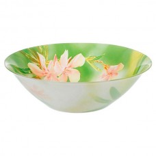 Сервіз столовий Luminarc Carina Freesia 45 предметів зелений (N6734)